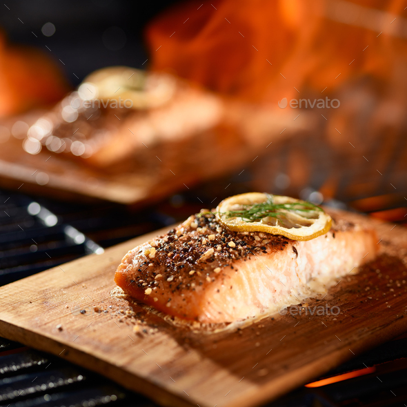 salmon fillets cooking on cedar planks on grill Stock Photo by joshua_resnick